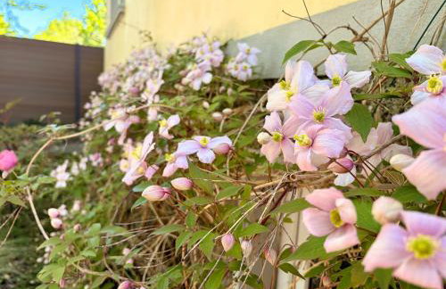 K4 Wohnung mit Gartenblick - Foto 3