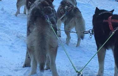 L'étoile des neiges Studio confort pour 4 personnes - Foto 12