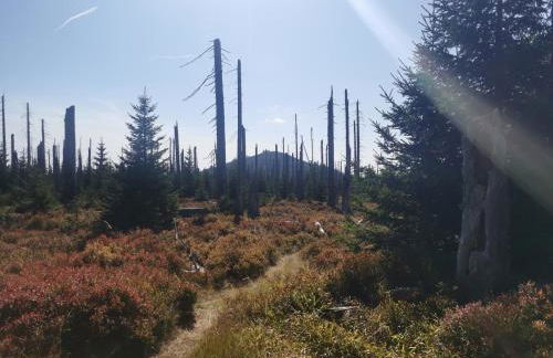 Sternstube – Appartement mit traumhaftem Weitblick - Foto 22