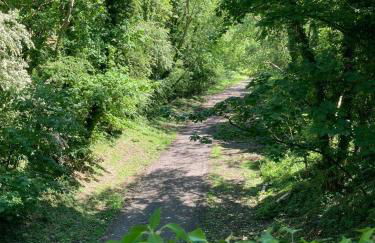 Holly Cottage, Hidden gem in the Yorkshire wolds - Foto 57