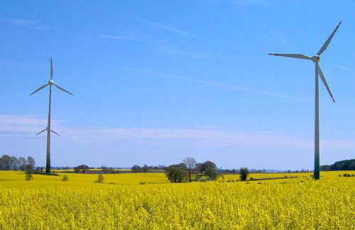 6 person holiday home in GROEMITZ - Photo 19