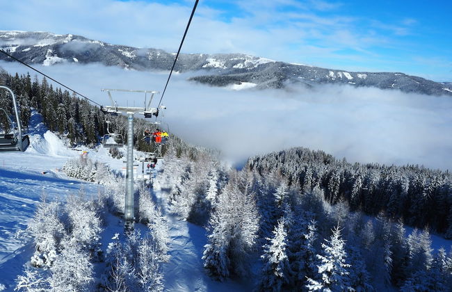 Parkweg Lodge - Foto 37