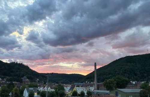 Apartment im Pfälzerwald - Foto 13