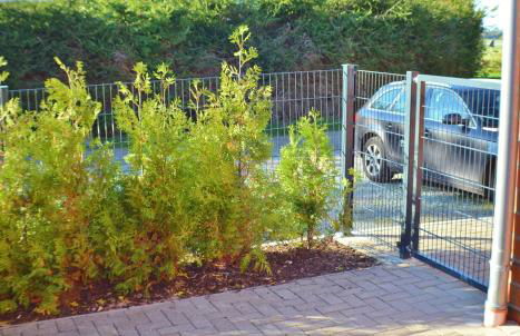 Piratennest - Foto 16