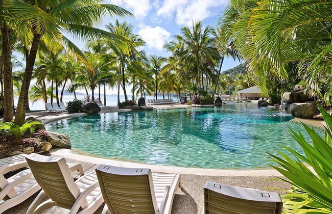 Hibiscus 006 - Foto 1