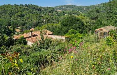 Cabayourte à la mauvaise herbe - Foto 18