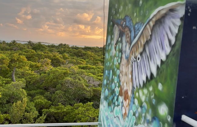 Costa Nube - Foto 43