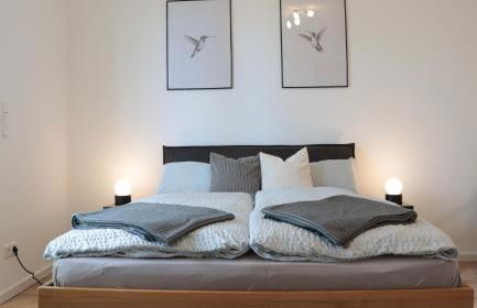 Modernes Ein-Zimmer-Apartment - Foto 3