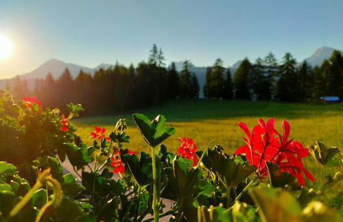 Chi Plans - Photo 27