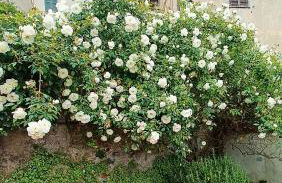 La Torretta del Lago - Foto 7