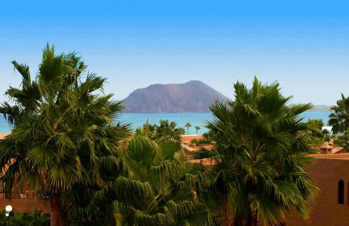 Playa y Palmera - Photo 24