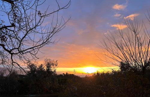 Podere San Giusto - Foto 48