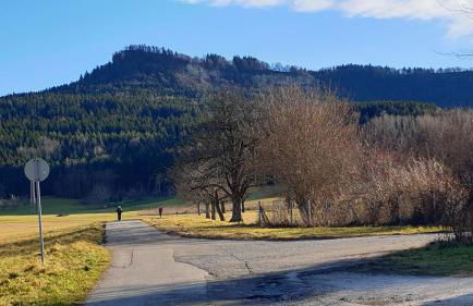 FeWo Schönfeld - Photo 19