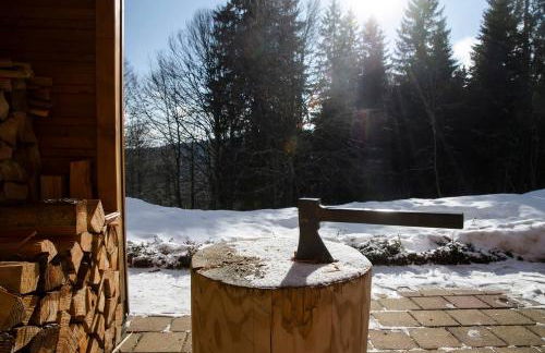 Luxus-Ferienhaus Blockhaus Chalet Nr 2 Toplage am Feldberg mit Sauna, Outdoor-Hottub, Kamin auf 1300m üM - Foto 14