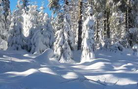 Ferienwohnung Haus Finkbeiner - Foto 23