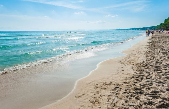 Curling in Alc dia With 3 Bedrooms and 1 Bathrooms - Foto 19