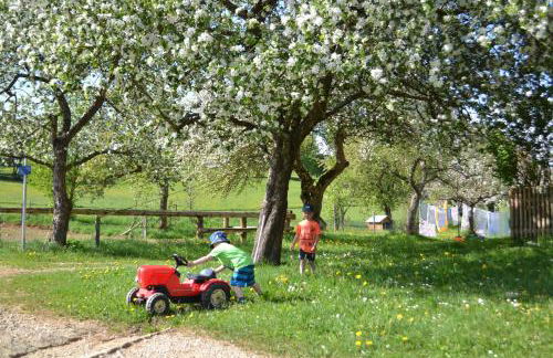 Zirbenholzwohnung Lochau - Foto 33