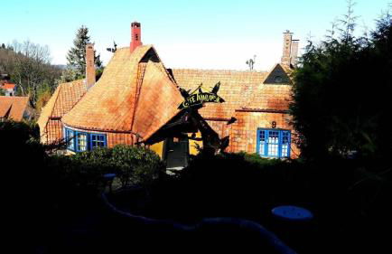 Ferienwohnung Eldorstal 2 - Urlaub mit Hund in Bad Harzburg - Foto 26