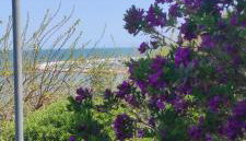 VerdeMare - Photo 2, Garden