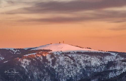 Ferienwohnung Sohnrey für 4 Gäste, Titisee-Neustadt - Foto 17