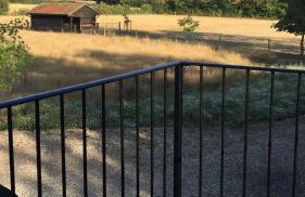 The Old Workhouse Paddocks - Foto 22