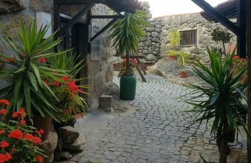 José Domingos - Foto 10