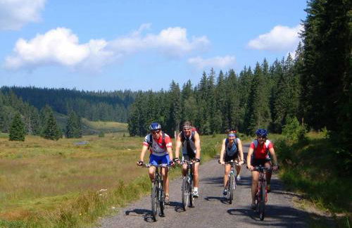 Ferienwohnung Bärnbachl - Foto 19