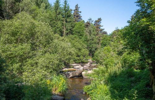 Gîte Le Moulin du Chambon 6/8 pers - Foto 41