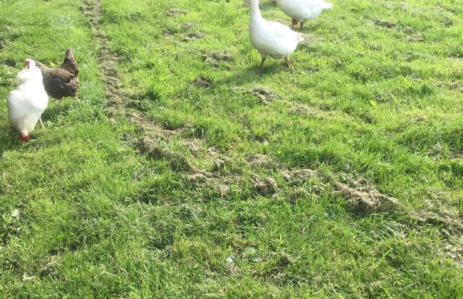 Impeccable Cottage Suitable for 2 Adults & 1 Child - Foto 21