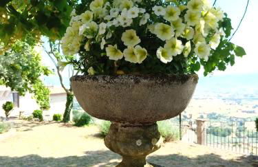 Residenza Messer Pajola - Photo 31