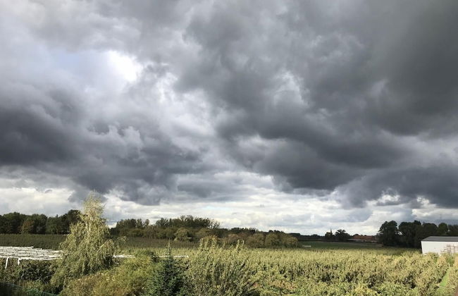 Cozy Vacation Home for 8 Persons in Heers - Foto 12