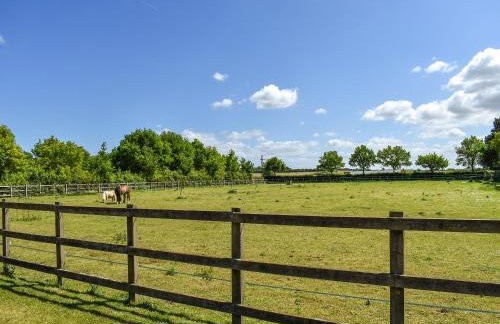 The Annexe At Park Farm Barns - Uk39379 - Photo 16