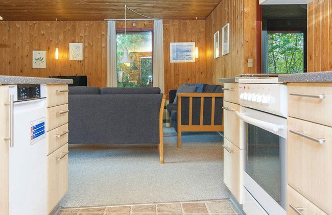 Spacious Holiday Home In Struer near Ocean - Foto 31