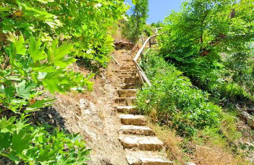 Timber Dream - Photo 18