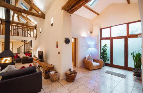 The Lazy Fish - Foto 21