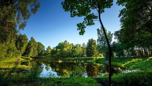 Duża Woda - Photo 4