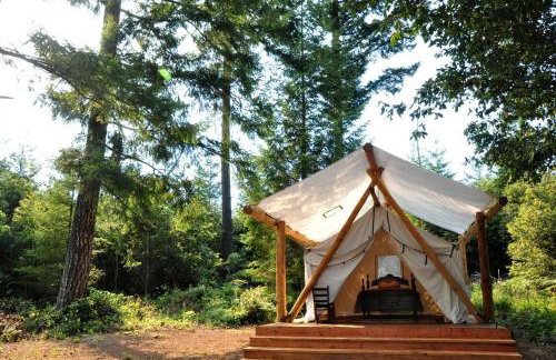 Secluded Safari Tent Perfect for a Glamping Getaway near Blue Lake, California - Foto 11