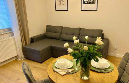 Apartament GREEN CROWNS - Foto 36