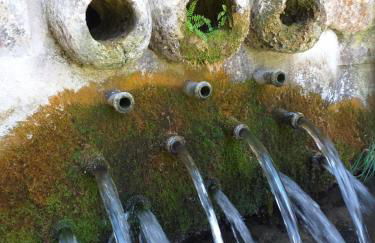 Casa Petra y Armando - Foto 18