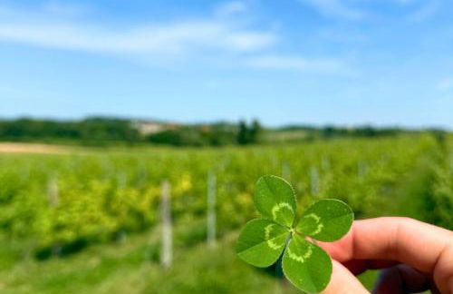 Melina's Wine Retreat - Foto 18