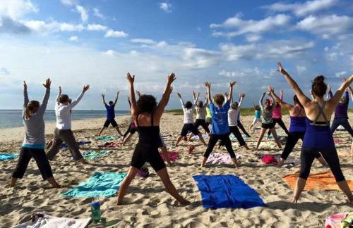 30 Chatham Crest Drive Chatham Cape Cod - Beach Pearl - Foto 34