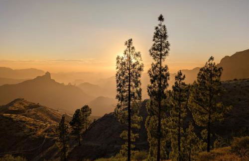 Casa Paraíso Natural - Foto 34