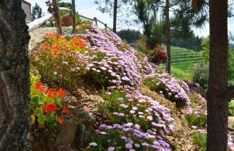 Villa de Paco - Foto 30