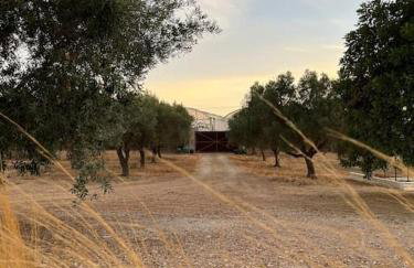 Quinta da Alfarrobeira Peaceful Countryside Stay - Foto 31
