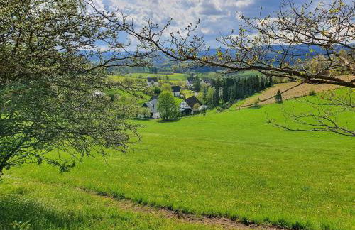 Wohnung in Silbecke mit Pool und Wald - Foto 34