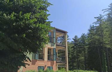 IL Bosco di Campo Marzano Sunlight - Foto 27