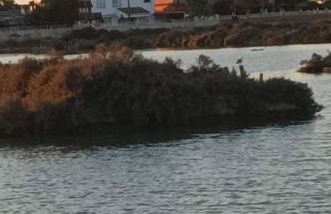 Chiclana Apartamento zona playa - Foto 16