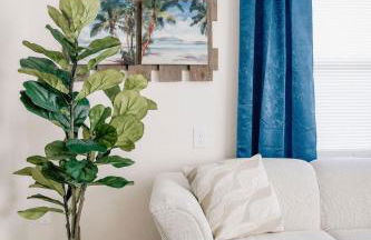 The Salty Turtle - Foto 48