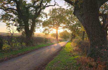 Lovett Haven Hot Tub near Bradgate Sleeps 6 - Foto 61
