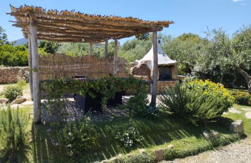 Cuccuru Relax - B IUN Q9882 - Foto 62